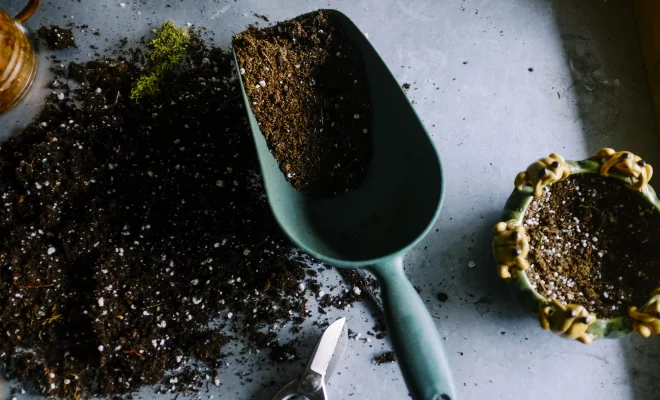 Geldsparen - mit einem eigenen Garten