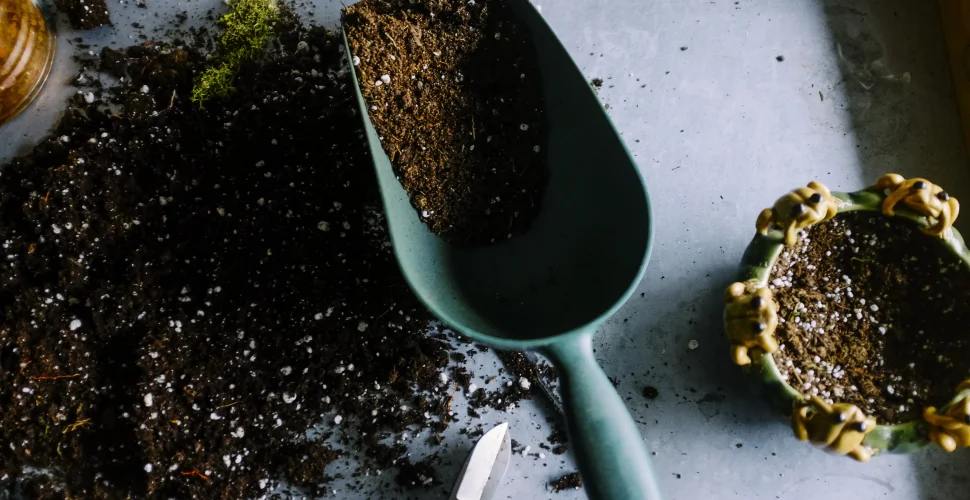 Geldsparen - mit einem eigenen Garten